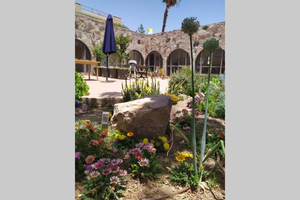 Eilat Stone - Patio אבן אילת - פטיו Apartman Kültér fotó