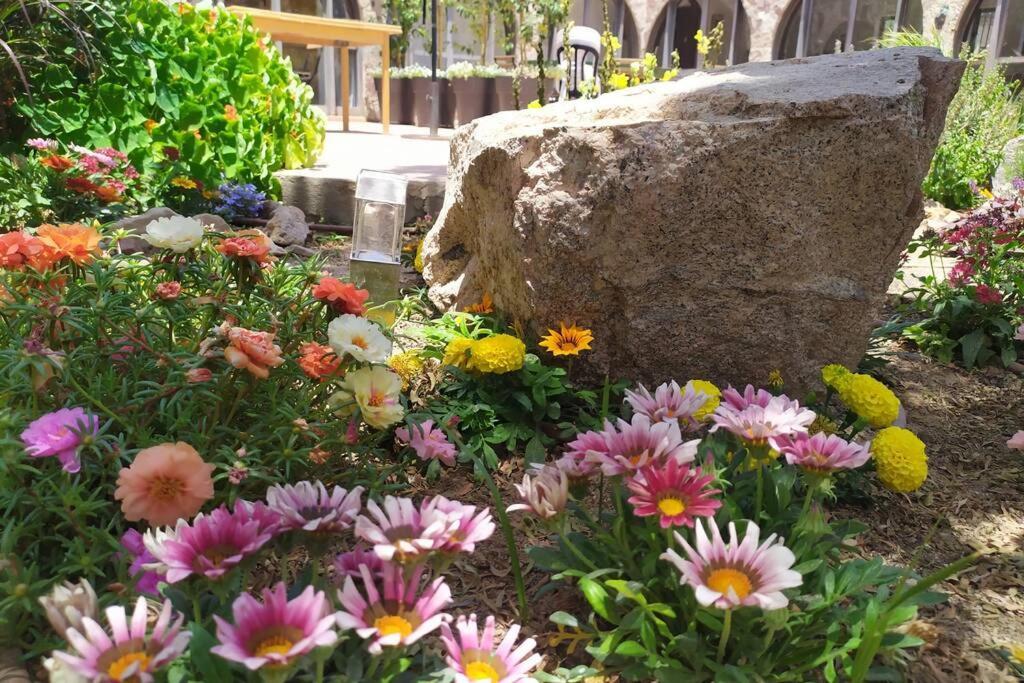 Eilat Stone - Patio אבן אילת - פטיו Apartman Kültér fotó
