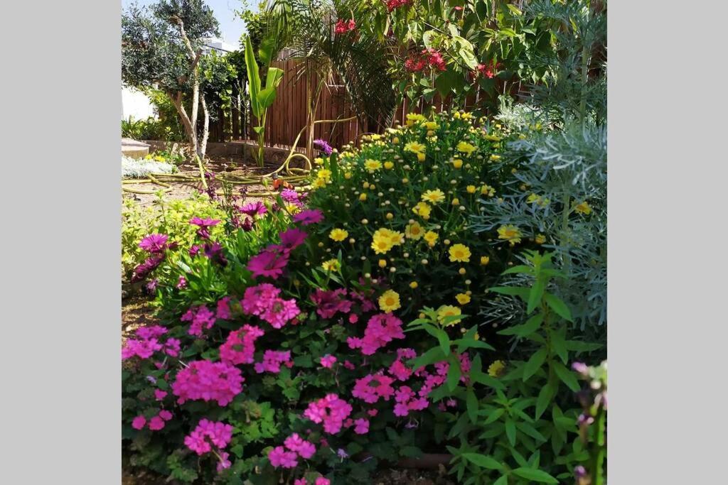 Eilat Stone - Patio אבן אילת - פטיו Apartman Kültér fotó
